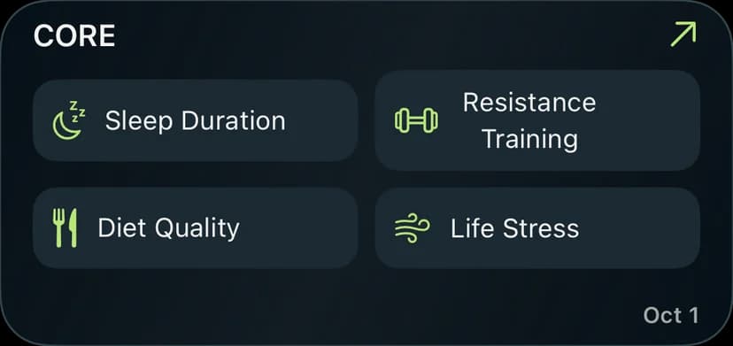 Core quick-access widget with shortcuts to daily logging