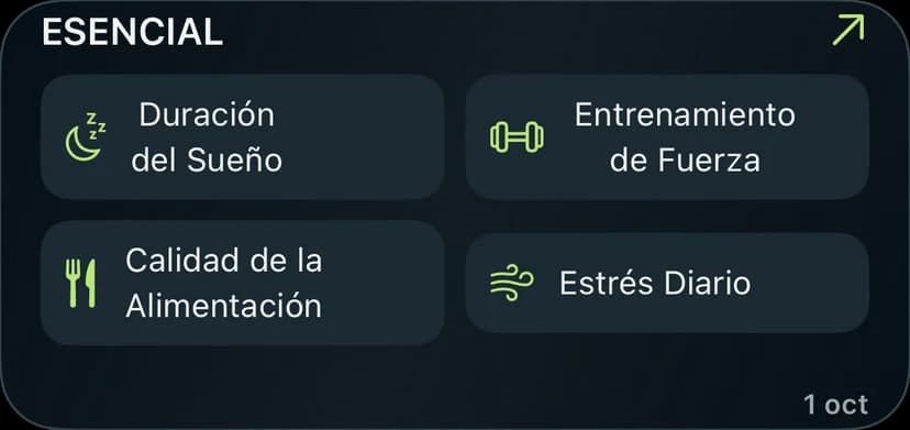 Widget Core con accesos al registro diario